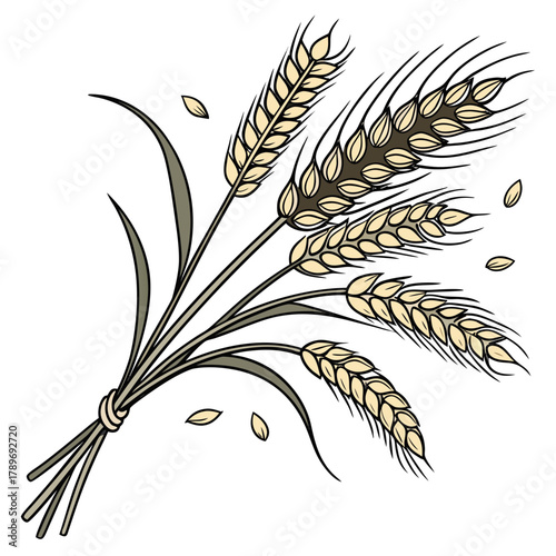 A bunch of ripe wheat stalks tied together with loose grains scattered around on a white background