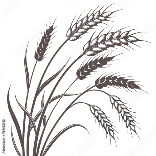 Stylized illustration of ripe wheat stalks with detailed grains and leaves against a clean white background