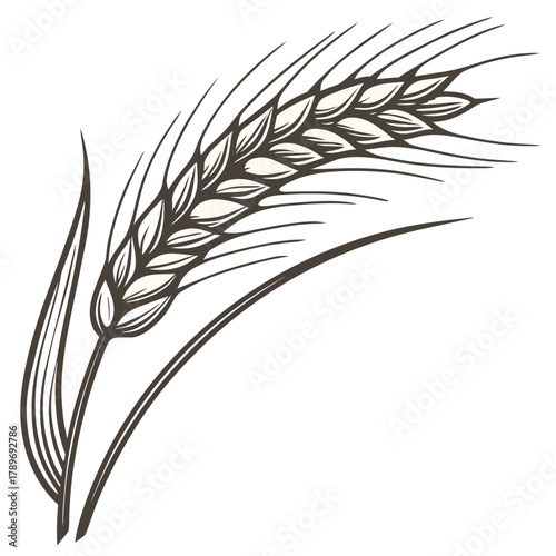 Stylized illustration of a single ripe wheat stalk with leaves rendered in a dark brown outline on a white background