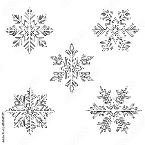 set of vector snowflakes