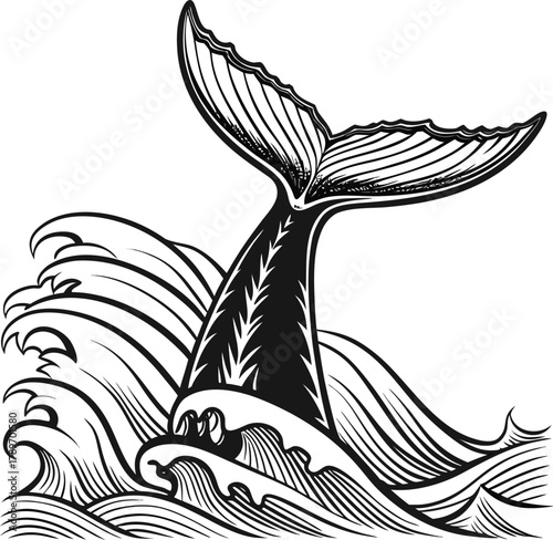 A detailed illustration of a whale tail emerging from the ocean. The tail is the central subject, depicted in a classic black and white, cross-hatching style. The tail rises vertically from the waves,