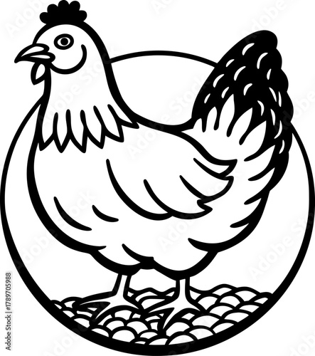 A detailed, black and white line art illustration of a hen is centered in the frame. The hen is a mature adult, rendered in a detailed hatching style, giving the image a classic, engraved feel. The he