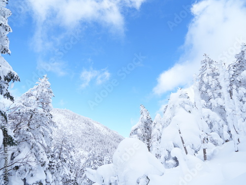 Wallpaper Mural 雪景色のイメージ素材 Torontodigital.ca