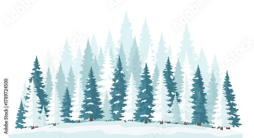 Winter forest with blue  white trees covered in snow forming a serene wintry landscape