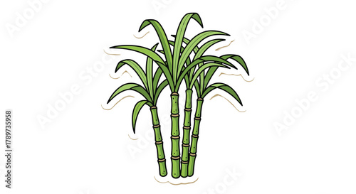 Vibrant green sugarcane stalks with long leaves, perfect for food, drink, or agriculture themes, offering natural sweetness and growth