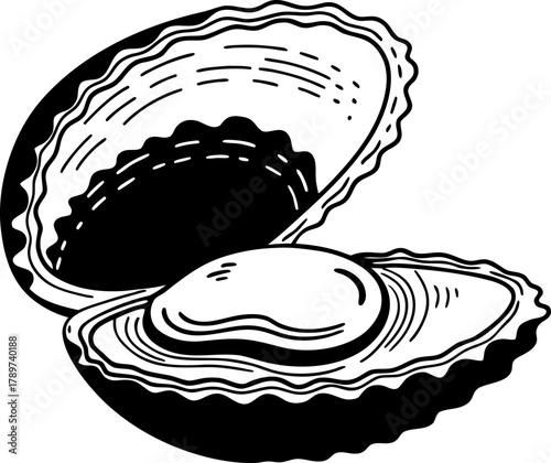 An intricately detailed black and white illustration of an oyster shell, open to reveal a single oyster. The shell is depicted in a side view, revealing its undulating, ridged texture. The interior of