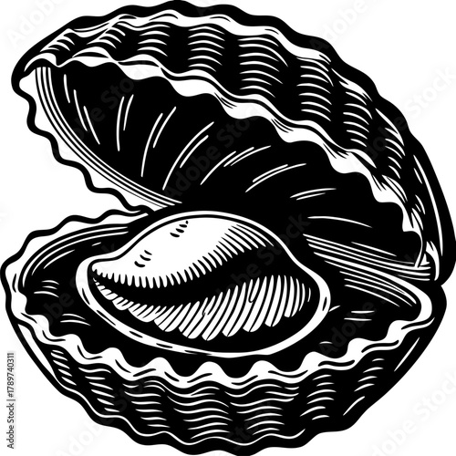 An intricately detailed black and white illustration of an oyster shell, open to reveal a single oyster. The shell is depicted in a side view, revealing its undulating, ridged texture. The interior of