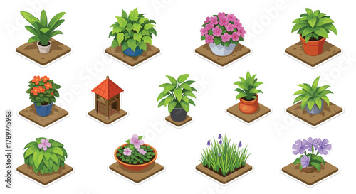 Vibrant collection of potted plants and a charming garden shed, perfect for creating lush, green home decor or outdoor scenes