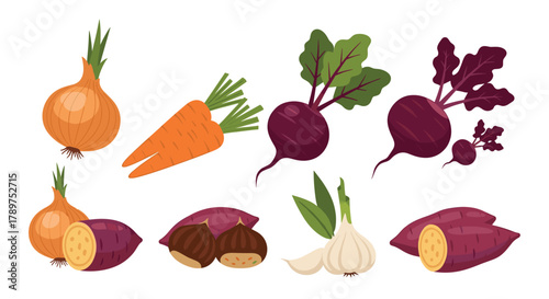 Vibrant collection of fresh root vegetables including onions, carrots, beets, sweet potatoes, garlic, and chestnuts for healthy eating
