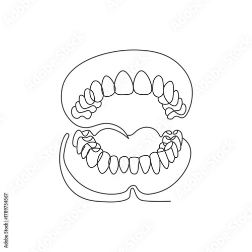continuous line drawing of a Human Teeth