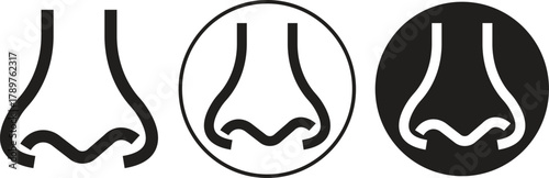 Human nose icons set in flat medical, anatomy and cosmetic styles. Vectors illustration for healthcare, smell, respiration, allergy and beauty designs concepts isolated on transparent background.