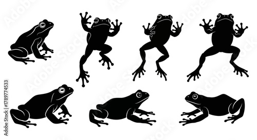Frog and Toad Silhouette Collection - Amphibian Vector Art Set