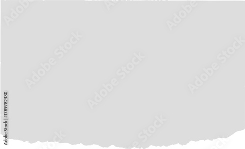 blank sheet of paper on white background