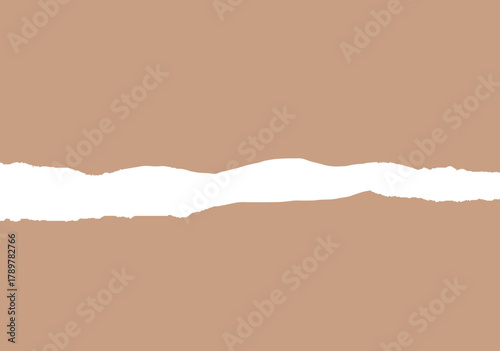 ripped paper background