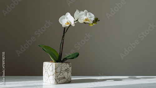 Orchid stem with delicate white petals and vibrant green leaves in modern vase, minimalist floral decoration concept