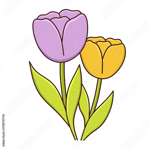 tulip flower vector with transparent background
