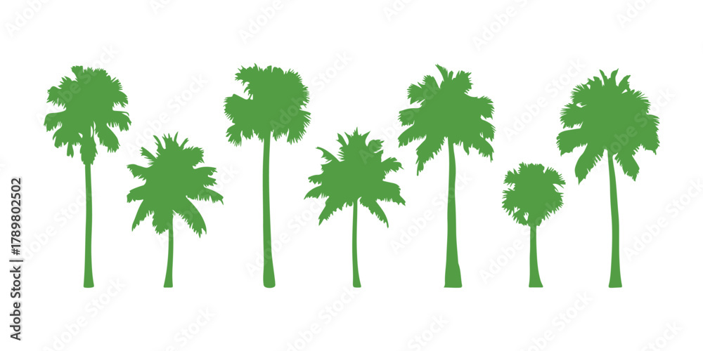 Fototapeta premium Palm trees in green are isolated on a white background. Green Silhouettes of palms. A design of palm trees suitable for posters, banners, and promotional uses. Vector illustration.