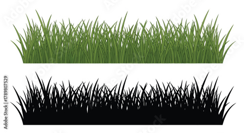 A pair of illustrations showing a lush green grass patch above a black silhouette of grass.