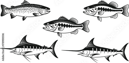 Vintage black and white illustration of five different fish species including trout bass and marlin for fishing and seafood concepts