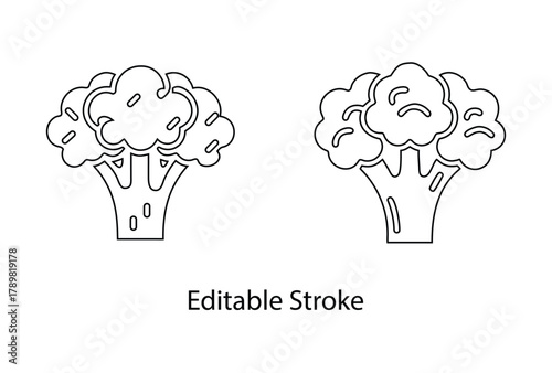 Broccoli icon vector editable stroke icon set, vegetable icon symbol vector line art icon illustration