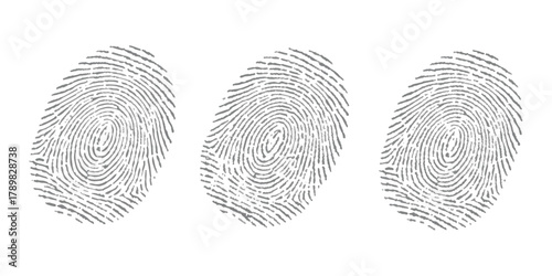 Three grey human fingerprints for identity, security, privacy isolated on white background