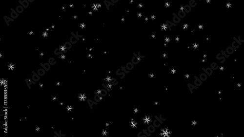 Wallpaper Mural Snowfall with detailed sharp snowflake on black background 4K 60 FPS animation loop Torontodigital.ca