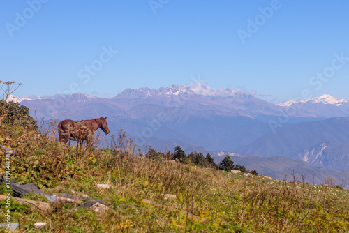 View of the Caucasus Mountains from Mount Khvamli, Georgia