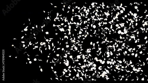 White flower petals sway in the wind. Isolated on black background. 4K 3D rendering animation.
