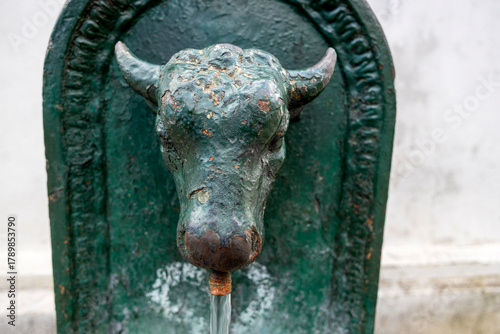 A close-up of the fountain with the bull in Turin, Piedmont, Italy