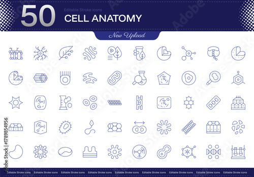 Cell anatomy stroke icon. Cell anatomy line icon set. editable stroke icon pack. Line, Thin, Linear Style Icon Bundle. Fully Customizable