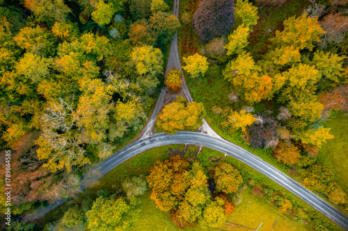 Aerial view of a road splitting into two, carving through a vibrant tapestry of autumn foliage, The Chilterns, Oxfordshire, England, United Kingdom.