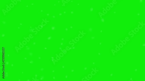 Real Snow Falling on Green Screen Background, 4K Winter Overlay.