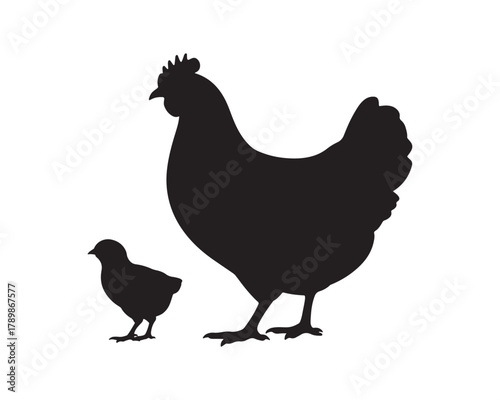 A silhouette illustration of a hen with baby chick vector