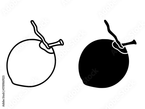 Minimalist icon, coconut vector, black and white, outline and silhouette