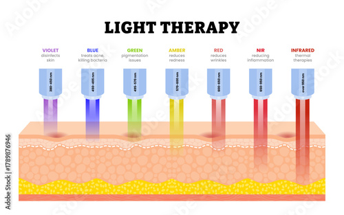 Light Therapy for skin rejuvenation. Phototherapy.  Electromagnetic spectrum with colors of the various wavelengths with violet, blue, red. Human skin layers anatomy cross section. Vector illustration