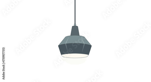 Gray pendant light fixture hanging from a ceiling on a white background.