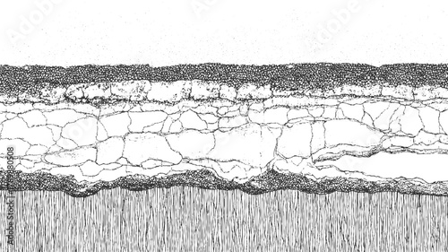 Black and white abstract textured background with cracked layers and vertical lines vector