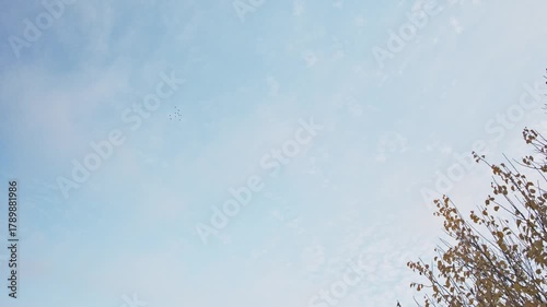 Minimalist autumn landscape with a flock of distant birds flying across a vast, pale blue sky