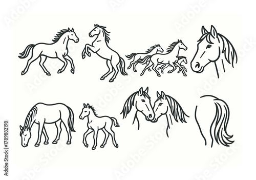 Line art illustrations of horses in various poses and expressions