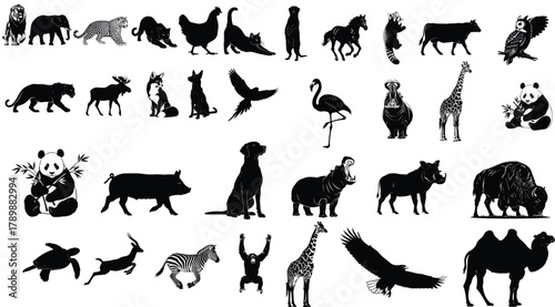 Silhouette of various animals, including mammals, birds, reptiles, and amphibians, showcasing a diverse range of wildlife species in a vector format