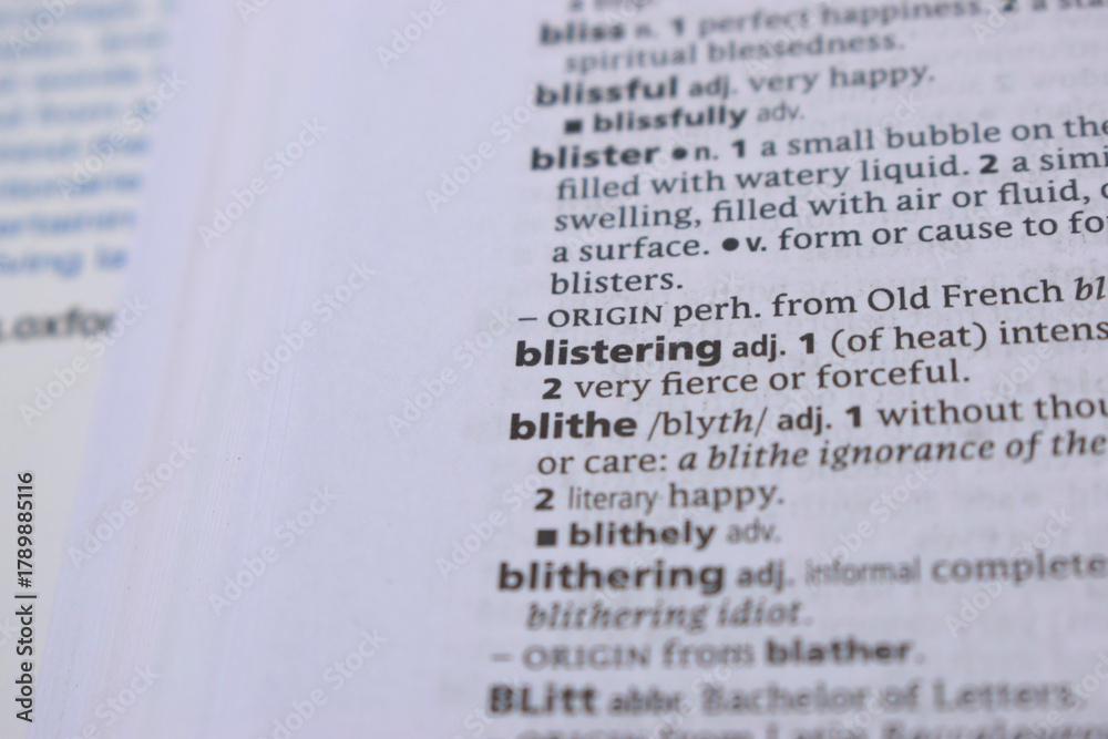 Obraz premium English Dictionary Page Close Up With the Word Of -blistering