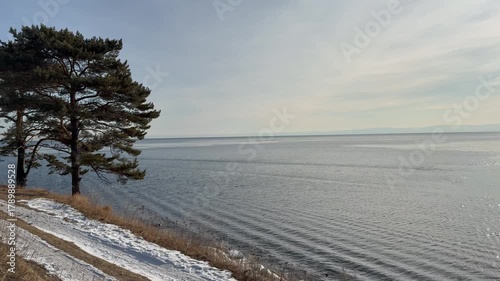 Video of coast of Baikal Lake during freeze-up on cold windy December. View of snowy beach with pine trees on coast on sunny frosty morning. Changing seasons. Beautiful seascape. Natural background