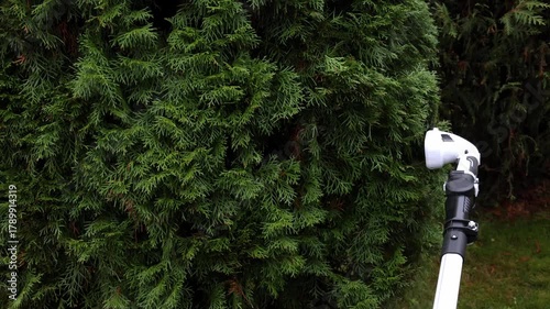 Man trims thuja hedge with cordless garden saw for trimming hedges with long handle, bottom view. High quality 4k footage