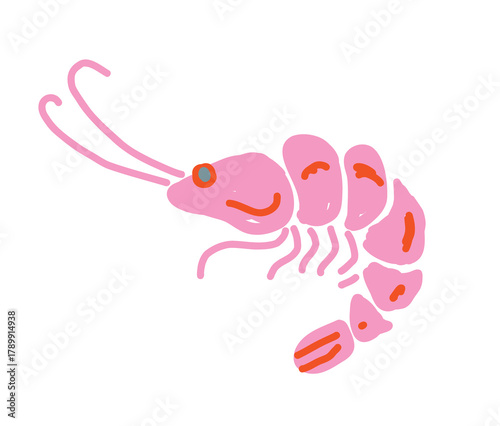 Shrimp vector illustration, hand drawn imperfect cartoon sea animal in naive style