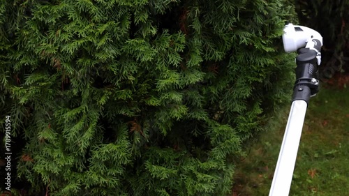 Man trims thuja hedge with cordless garden saw for trimming hedges with long handle, bottom view. High quality 4k footage