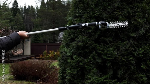 Man trims thuja hedge with cordless garden saw for trimming hedges with long handle, top view. High quality 4k footage