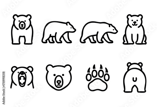 Set of eight line art bear icons, including front, side, and back views, a bear paw print, and bear head variations. Perfect for logos, branding, or children's illustrations.