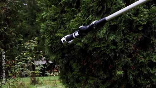Man trims thuja hedge with cordless garden saw for trimming hedges with long handle, right view. High quality 4k footage