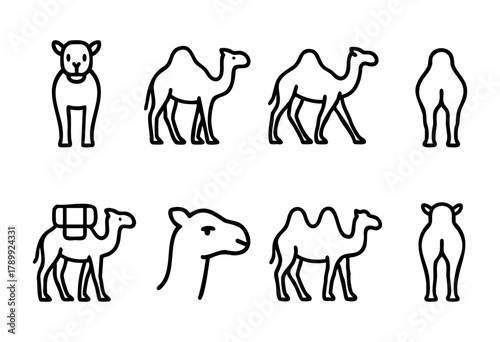 Set of eight line art camel illustrations. Different views of dromedary and bactrian camels, including one carrying a load. Simple, bold black lines on a white background.
