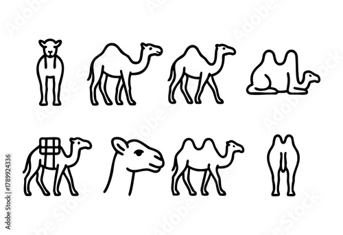 Set of eight line art camel illustrations. Different views and postures of one-humped and two-humped camels are shown, including a camel with a pack saddle. Simple, bold outlines on a white background
